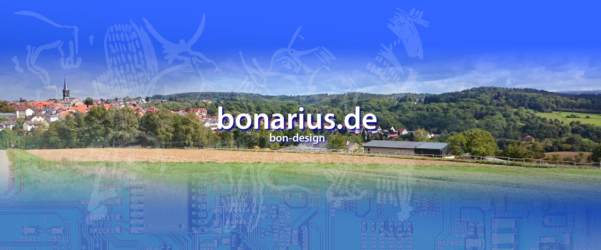 bonarius.de